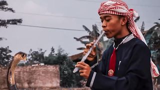 Mohon maaf lahir dan batin