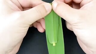 Running leaf boat ????????????????