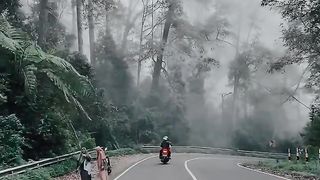 Foggy road