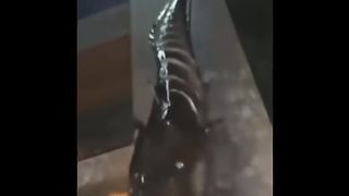 Random Video Tiktok
