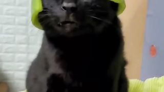 How funny????