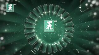 shahibawarchi1ur1080p