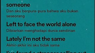 Song lyrics not you (Alan Walker)