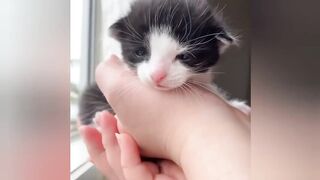 THE FUNNIEST TIK TOK MEMES Of May 2023 ???? 6