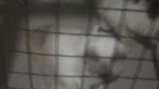 Cat cute 2