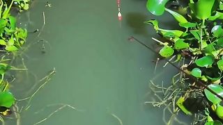 Mancing ikan di malam hari