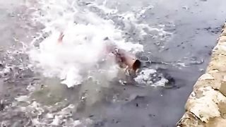 Funny video 2023 12