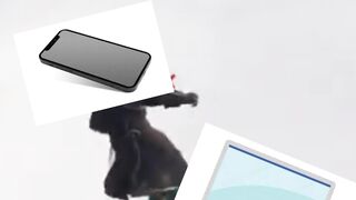Retour au chapitre 1 saison 8