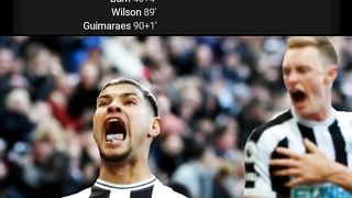 Newcastle menang atas Brighton