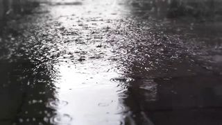 Nature's Elixir: The Enchanting Symphony of Rainwater"