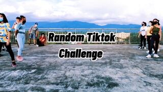 Random Tiktok Dance Challenge 2