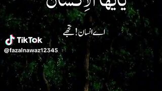 Find 'tilawat best voice' on TikTok - TikTok Search_12.