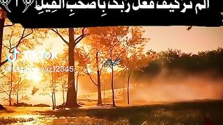 Find 'tilawat best voice' on TikTok - TikTok Search_13.