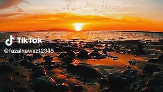 Find 'tilawat best voice' on TikTok - TikTok Search_14.
