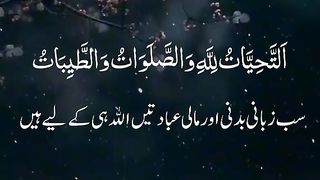 Find 'tilawat best voice' on TikTok - TikTok Search_16.
