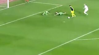 the most beautiful goals