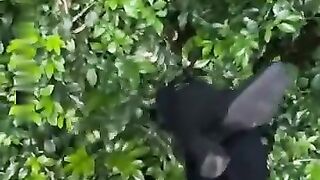 ???????????? #funny #viral #shorts #funnyvideos #trustedhumor 1 online video cutter com