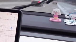Funny Cat Drive Tesla 2024