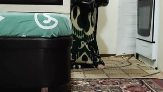 Funny panda and friends ???????? small time ???? like video please