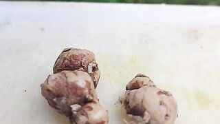Manfaat kencur:obati sesak nafas