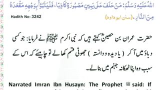 میری جَانب بھی ہو اِک نگاہِ کرم، اے شفیع الواریٰﷺ، خاتم الانبیاءﷺ 16