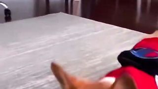 funny dog video compilation