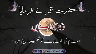 سٹیٹس نیو 2023