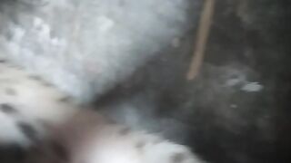 My kitten