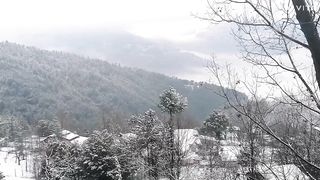 Beautiful snowfalling