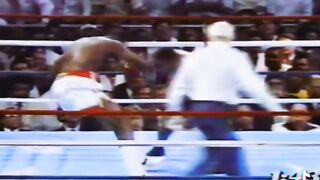 Boxing professional
