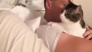 Funny cat / dog ????????