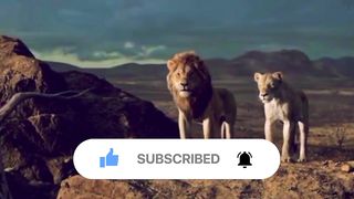 lion king movie | lion whatsapp status | status