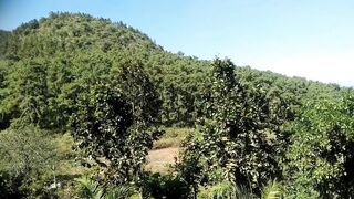 Unveiling Daringbadi, Orissa |The Ultimate Travel Guide for Adventurers