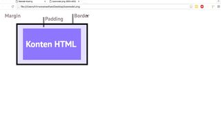model dan margin css