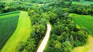 Soothing music for nerves healing music for the heart and blood vessels, relaxation, music for soul