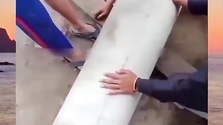 vidio lucu,kok bisa ,?????