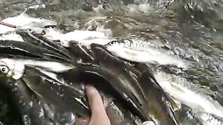 Hasil tangkapan dihutan????