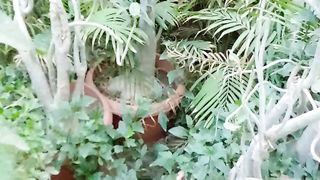 I just love nature and beauty to be happy