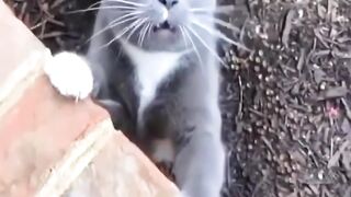 Funny moments 34