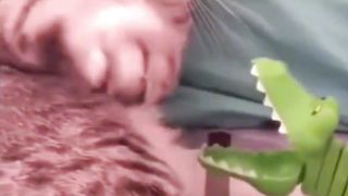 funny animals 18