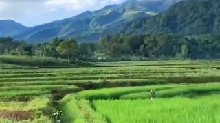Indahnya Alam ini