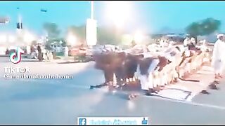 لَا إِلٰهَ إِلَّا اللّٰهُ مُحَمَّدٌ رَسُولُ ال