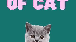 3 Unique Fact of Cat