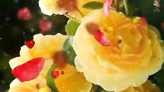 Good  Morning viral video shari