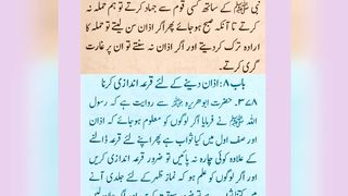 میری جَانب بھی ہو اِک نگاہِ کرم، اے شفیع الواریٰﷺ، خاتم الانبیاءﷺ  آپﷺ 2