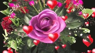 best tiktok viral video
