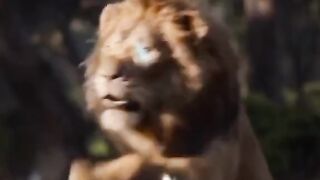 THE LION KING CARTOON ????