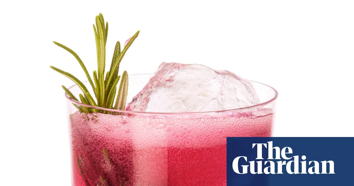 Kirkstyle Inn’s beetroot and sumac shrub mocktail (zero‑proof) — I.guim.co.uk
