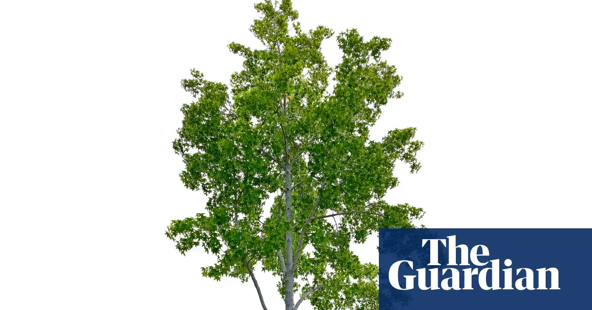 Make 2026 the year you do more of what makes you feel alive — I.guim.co.uk