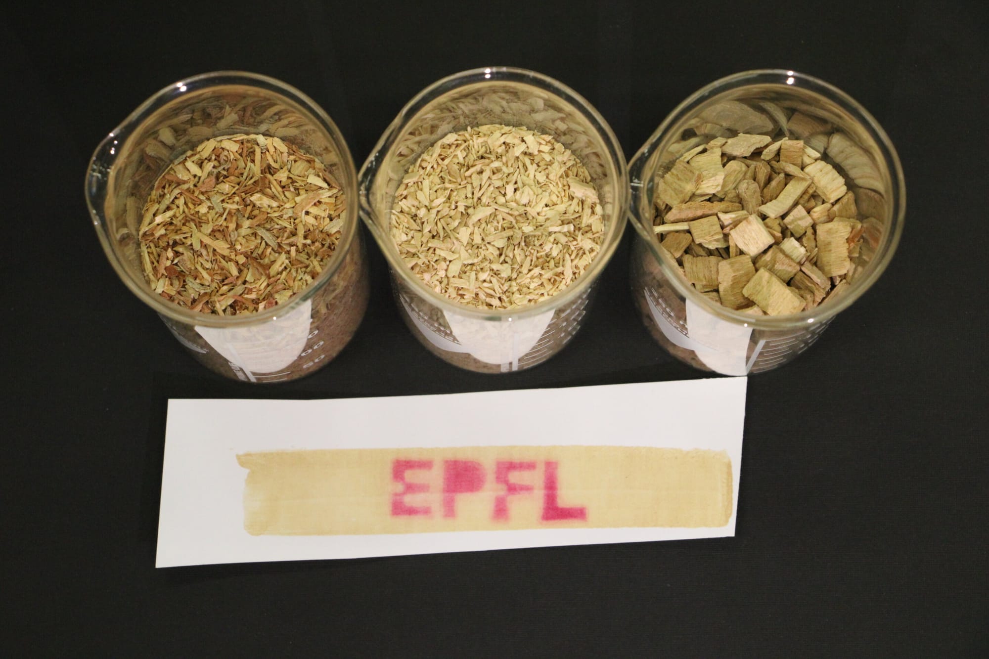 EPFL team makes thermal paper coatings from wood that show far lower hormone activity than BPA — Scx2.b-cdn.net